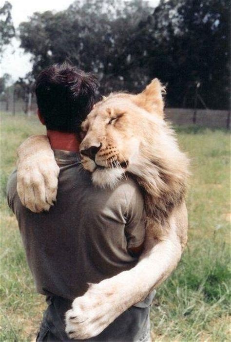 A Man Hugging A Lion Товары для животных Домашние птицы Объятия
