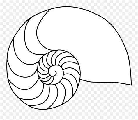 Print out and color this shell coloring page and decorate your room with your lovely coloring pages from shell coloring pages. Beach Guide - Nautilus Shell Coloring Page Clipart ...