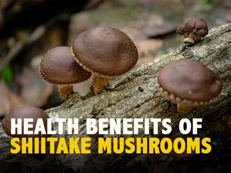 Shiitake Mushrooms Nutrition Health Benefits And Ways To Eat