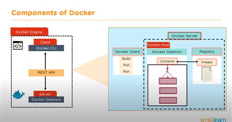 Connecter Jenkins (WSL2 Ubuntu) au Daemon Docker de Windows 11