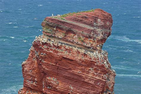 Lange anna travelers' reviews, business hours, introduction, open hours. Hagebutte Heide Heide Libelle Wassertropfen Helgoland ...