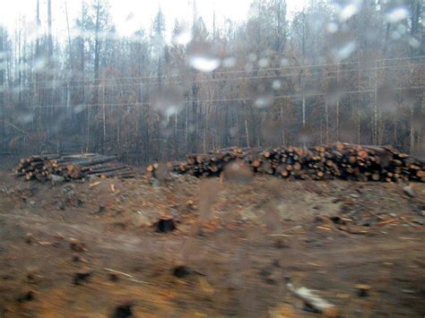 Viewing The Fire Aftermath Umpqua Watersheds