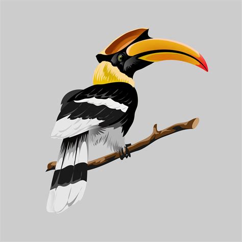 Hornbill Bright Tropical Bird With An Incredible Yellow Beak 1821991