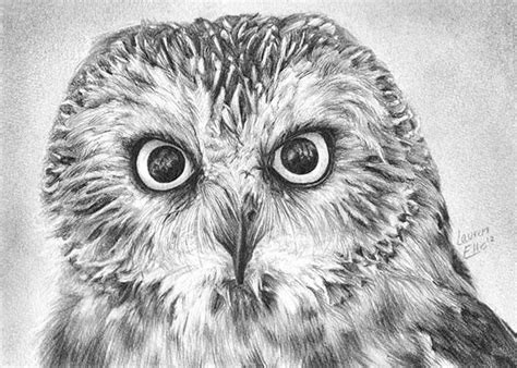 367 Best Owl Sketches Images On Pinterest Tattoo Ideas Owls And