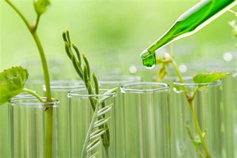 How Green Chemistry Could Have A Big Part To Play In The Future