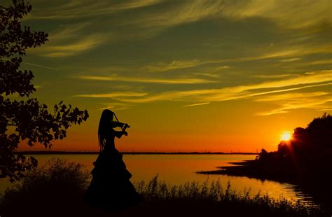 The evolution of english syntax was tied up with profound changes in morphology; Free Images : violinist, sunset, violin, woman, adult ...