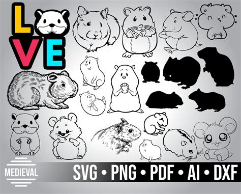 Hamster Svg Design Hamster Cut File Hamster Clipart Guinea Etsy