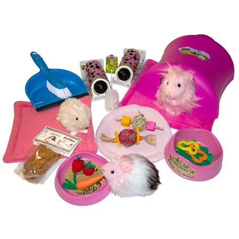 Everything You Need For Pampered Guinea Pigs