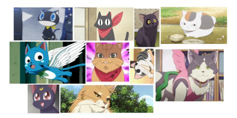 Top 20 Anime Cats That Will Steal All Your Love 2021 Anime Cat