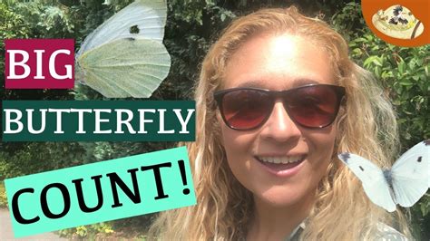 How To Participate In The Big Butterfly Count Citizen Science From