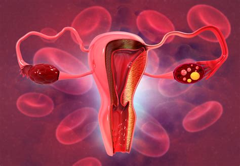 Menstruaci N Intensa Qu Hay Detr S De Los Co Gulos Cansancio Y Textura S Per L Quida Salud