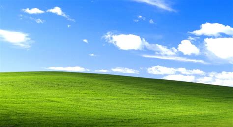 윈도우 Xp 기본 배경 화면목초지초록하늘자연 경관자연 316440 Wallpaperuse