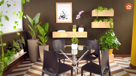 Son de nuestras plantas preferidas por muchas razones: Decora tu casa con plantas de interior - YouTube