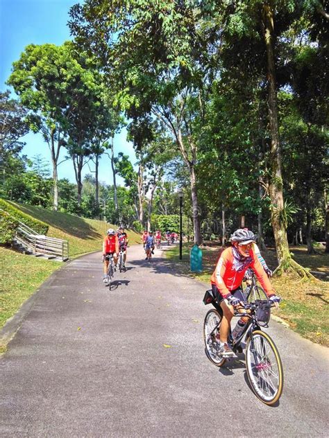 Naturens skönhet (bukit batok nature park). Cycling In Bukit Batok Nature Park Editorial Image - Image ...