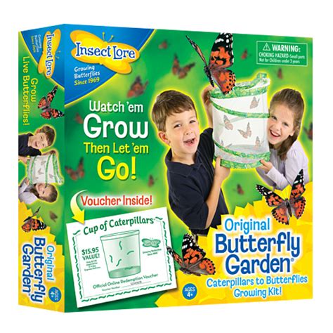 Butterfly garden | Butterfly kit, Butterfly garden kit, Butterfly garden