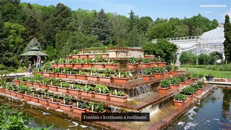 Botanická Záhrada V Košiciach Youtube