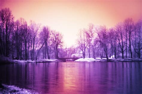 Purple Nature Wallpapers 4k Hd Purple Nature Backgrounds On Wallpaperbat