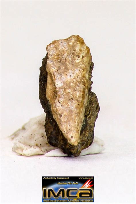 Top Rare 0072 G Nwa Unclassified Ureilite Achondrite Meteorite