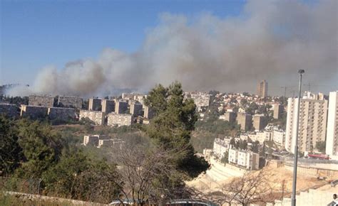 רויטרס 13/08/2021 11:35 1 דק' קריאה. N12 - גורמי כבאות על הדליקה בירושלים: "שריפות כאלה לא ...
