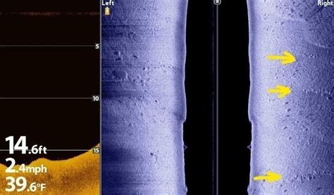 Maybe you would like to learn more about one of these? How Fish Finders Work and How to Read Them • Sonar Wars