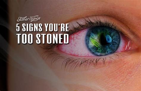 5 signs you re too high stoner things
