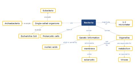 Biology Concept Map Complete Guide With 30 Examples Edrawmind