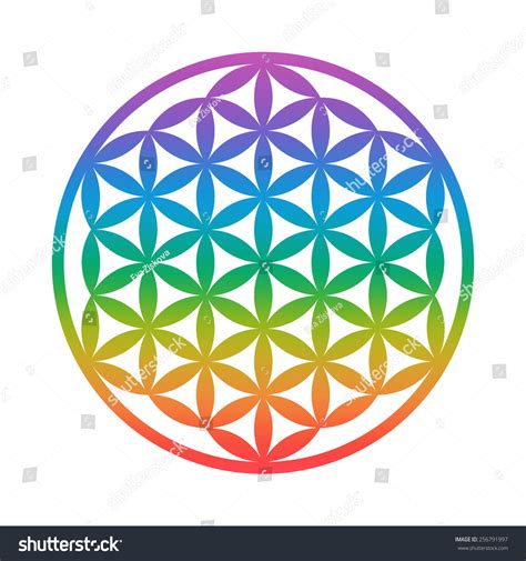 Flower Of Life Sacred Geometry Chakra Colors Stock Vector