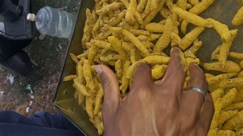 Curcuma Longa Erode Turmeric Finger For Food Packaging Size 50kg At