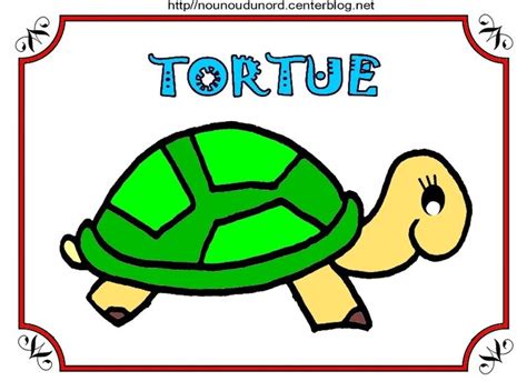Il s'agit d'une espèce de tortue en fort déclin sur l'ensemble de son aire de répartition. Tortues coloriage, pour gommettes et en couleur