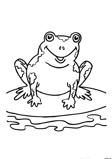 Frogs are wonderful because they eat spiders, mosquitoes, and many other pest we do not like nibbling on us. Free Printable Frog Coloring Pages For Kids