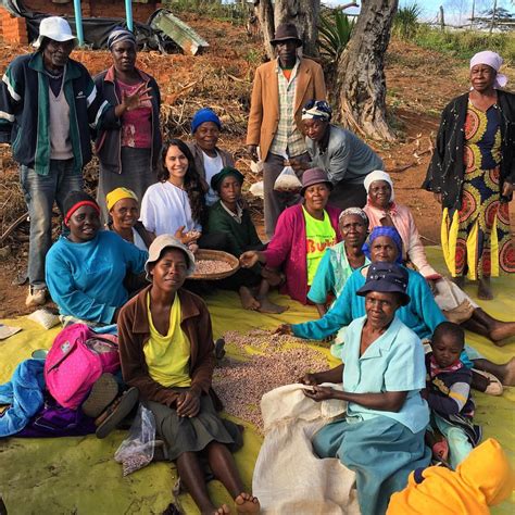We did not find results for: My experience working with TechnoServe in Zimbabwe | THE ...