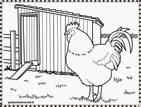 Mewarnai Gambar Kandang Ayam Untuk Anak Tk