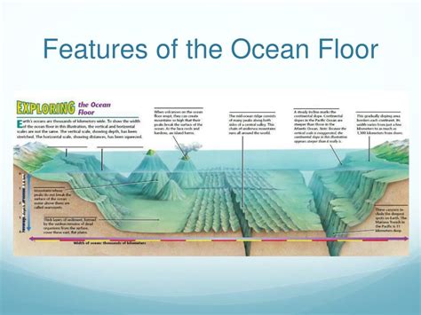 Ppt The Sea Floor And Beyond Powerpoint Presentation Free Download