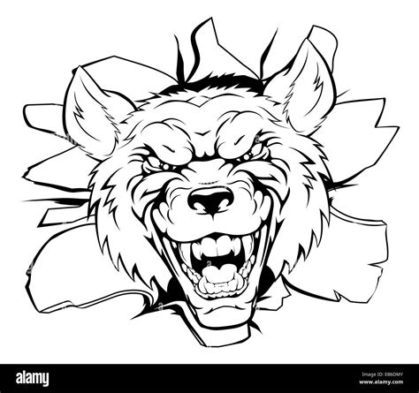 An Illustration Of A Cartoon Tough Wolf Character Face Tearing Out Of A