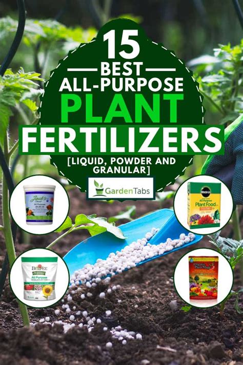 15 Best All Purpose Plant Fertilizers Liquid Powder And Granular