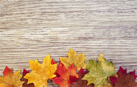 Wallpaper Tree Colorful Wood Texture Autumn Leaves Autumn Leaves