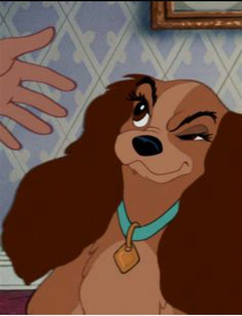 Lady From Lady And The Tramp Disney Art Disney Vintage Cartoon