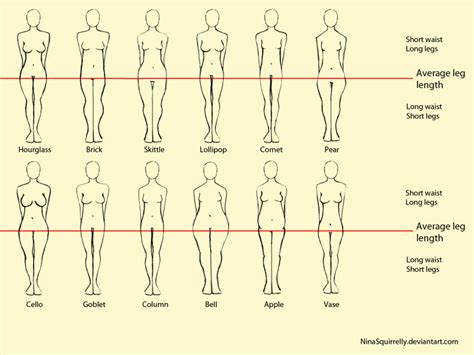 Female Proportions Tumblr Body Shape Chart Body Types Women Women