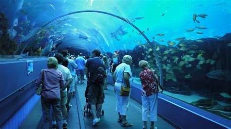 Georgia Aquarium In Atlanta Usa