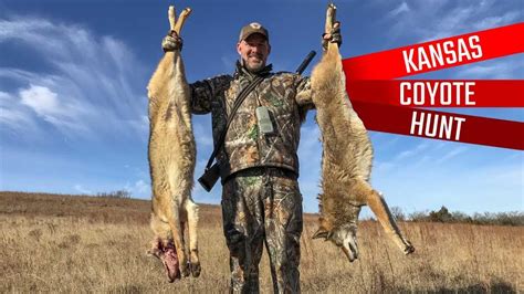 The Ultimate Coyote Hunting Setup Diagram How To Maximize Success