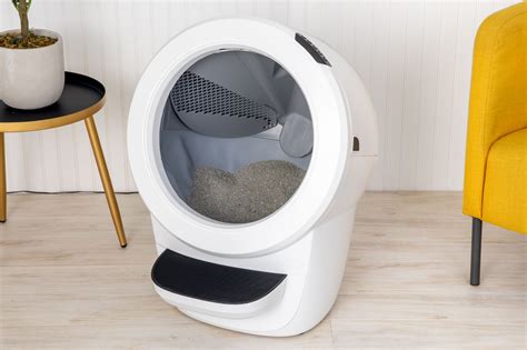 The 6 Best Automatic Litter Boxes Of 2023 Tested And Reviewed