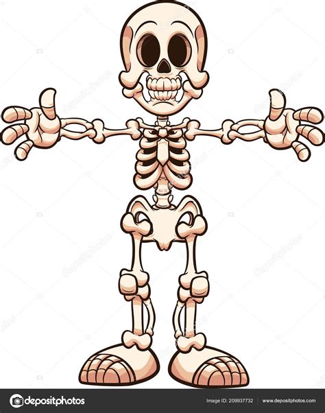 Esqueleto Humano Dibujo