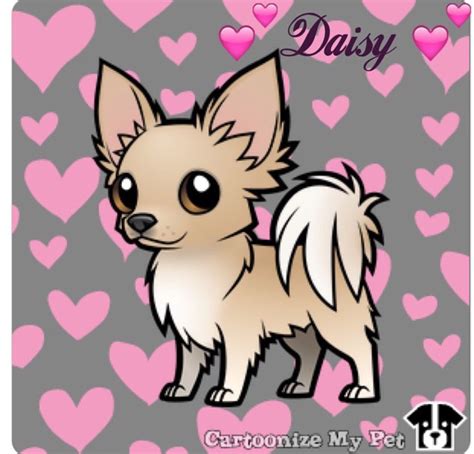 Cartoon Chihuahua Daisy Chihuahua Drawing Chihuahua Art Chihuahua