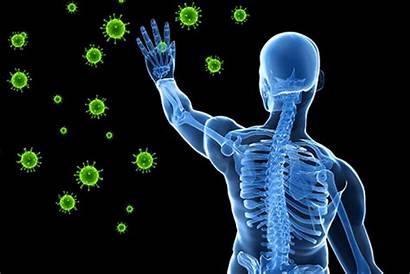 System Immune Immunity Human Weak Types Causes