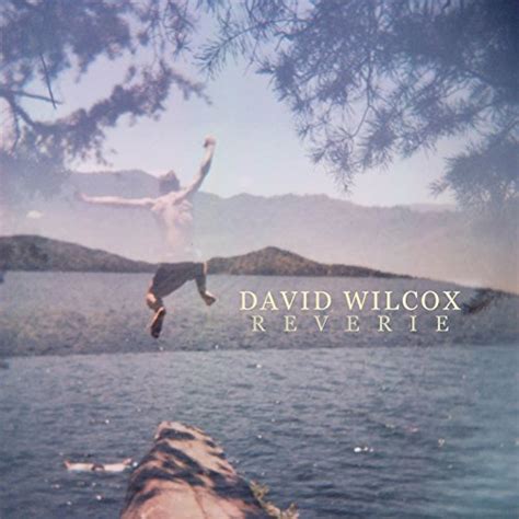 play reverie by david wilcox on amazon music
