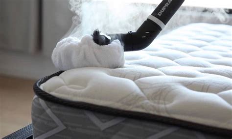 They prefer to live close to their human food source and make their homes in beds. How to Get Rid of Bed Bugs in a Mattress in 3 Easy Steps