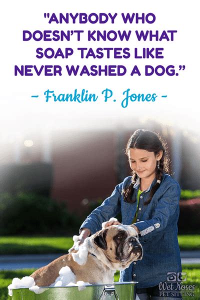 Website Sized Quotes 21 Wet Noses Pet Sitting