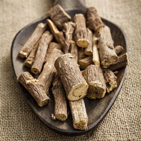 Nutritional And Health Benefits Of Licorice Root Caloriebee