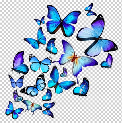 Mariposa Azul Fondo De Escritorio Imagen Png Imagen Transparente The