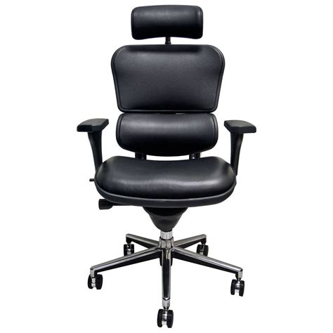 Ergonomic Chair Pro Ergohuman Le9erg Leather Chair